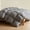 Grey, variant on URBANLIFE Goose Down Fiber Comforter Twin Size, Feather Down Fiber Comforter, All Season Duvet Insert, Luxury Hotel Collection Duvets & Down Comforters, Soft Breathable, 68 x 90 Inch, White