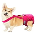 thumbnail image 6 of Paw Inspired Dog Diaper Suspenders with Velcro Fasteners to Keep Diapers on Female Dog Diapers and Male Dog Wraps (S/M Pink), 6 of 7