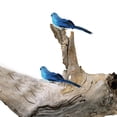 thumbnail image 4 of 2 Piezas de Aves de espuma CUTICAT Aves artesanales emplumadas Decoración Del Jardín para hogar, 4 of 8