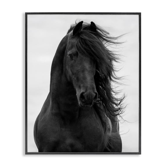 Stupell Industries Farmhouse Black Stallion Horse Portrait Black Framed Giclee Art, 11 x 14, by Carol Walker