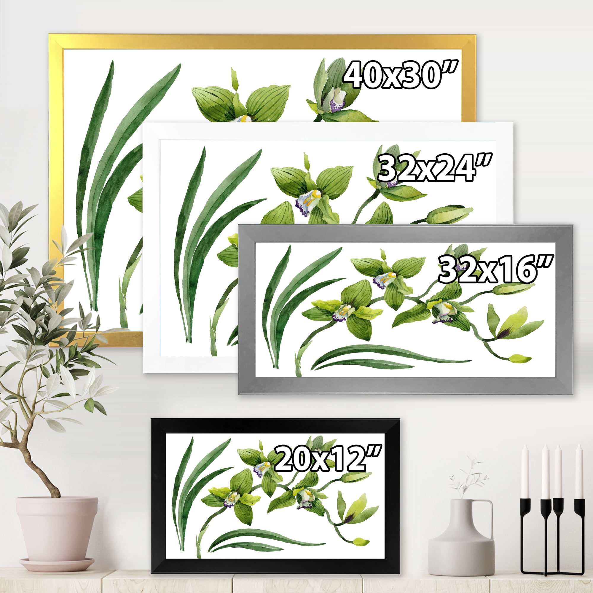 Designart 'Green Orchid Flowers On White' Traditional Framed Art Print