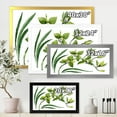 thumbnail image 4 of Designart 'Green Orchid Flowers On White' Traditional Framed Art Print, 4 of 4