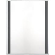 StoreSMART Magnetic Rigid Print Protectors for Office/Home Signage, Posters and Warehouses, 8.5" x 11", Pack of 5