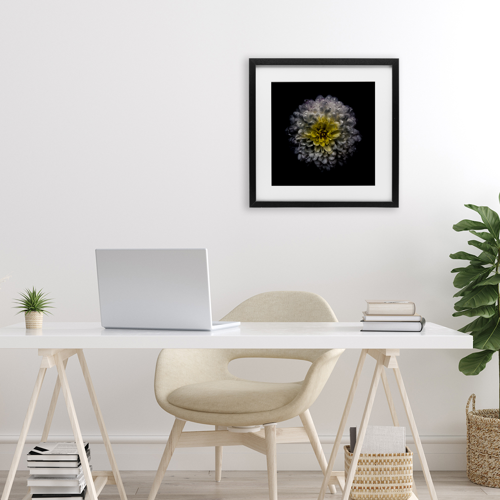 White And Yellow Mum Black Framed Print Under Glass, design by Brian Carson Photography