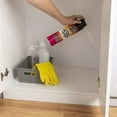 thumbnail image 2 of Hot Shot Ant, Roach & Spider Killer Spray - Insecticide - 6 Pack, 17.5 oz, 2 of 4