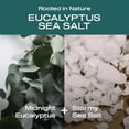 thumbnail image 4 of Hey Humans Aluminum Free Deodorant, Eucalyptus Sea Salt (Pack of 4), 4 of 5
