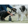 thumbnail image 2 of Asobu BOUTEILLE CHIEN, 2 of 4