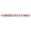 Jointed Banner 7"X9.75 Feet-Congratulations