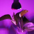 thumbnail image 1 of Garosa 28W Full Spectrum E14/GU10 Led Grow Light Growing Lamp Bulb For Flower Plant 85V-265V, LED Grow Light, Full Spectrum LED Grow Light, 1 of 7