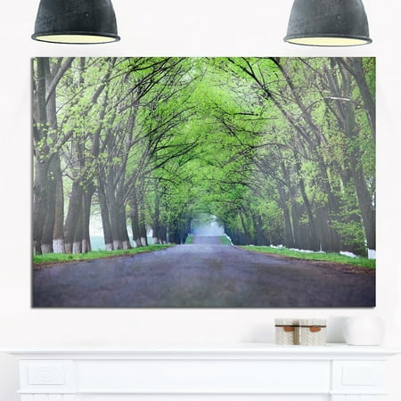 DESIGN ART Arched Trees Over Country Road - Landscape Photo Glossy Metal Wall Art 20 in. wide x 12 in. (Best Over The Counter Arch Supports)