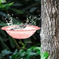 thumbnail image 5 of PPgejGEK Outdoor Plastic Hummingbird Feeder and Bird Bath, Hanging Garden Decor with Shower Basin, Easy Clean Bird Feeder for Yard Patio Balcony, Attracts Hummingbirds and Small Birds, 5 of 7