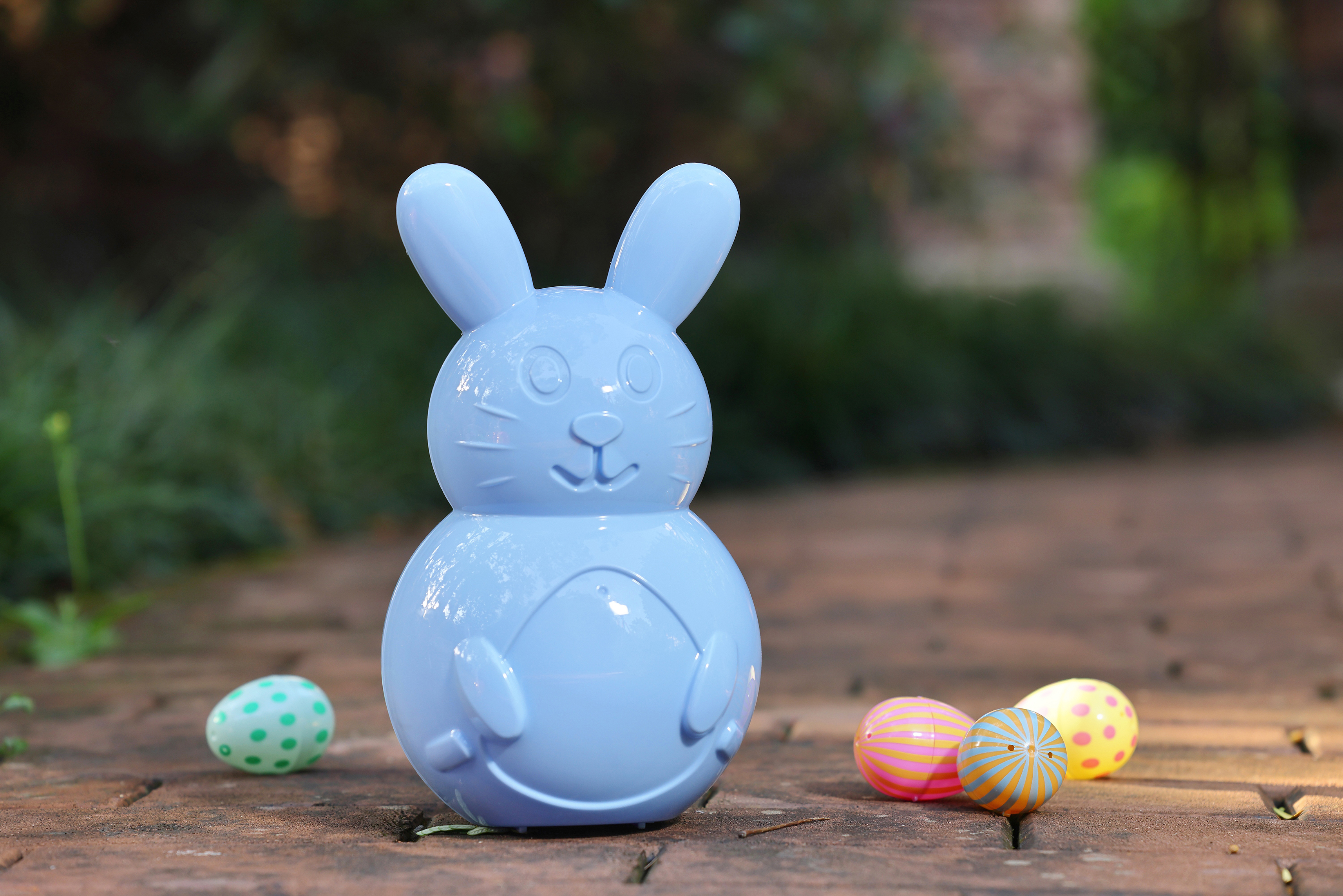 10`` BLUE BUNNY CONT