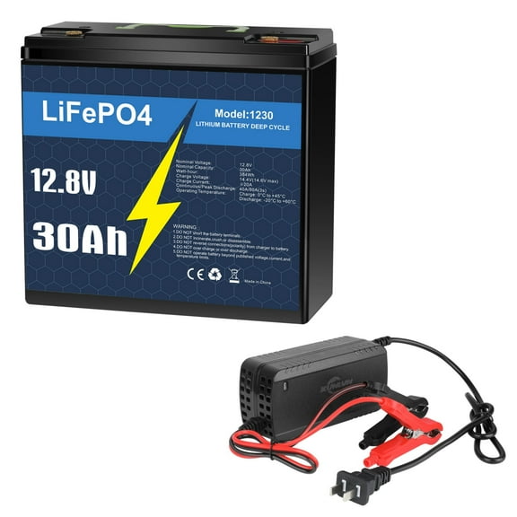 12V 30Ah LiFePO4 Lithium Battery with 5A Charger, Deep Cycle, for Trolling Motor