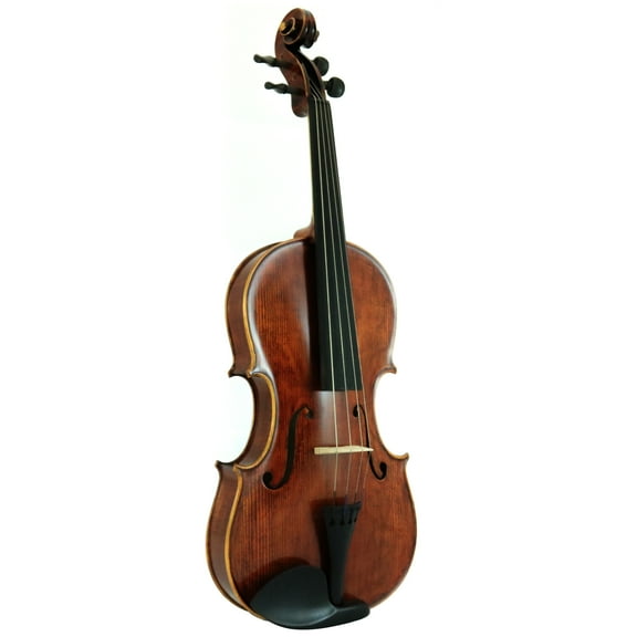 D'Luca Orchestral Series Handmade Viola Outfit 16 Inches