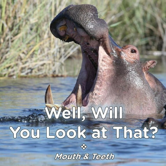 Well Will You Look at That? Mouth & Teeth, (Paperback)