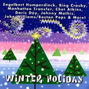 Winter Holiday