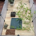 thumbnail image 1 of unbranded 2Ud Plataforma De Decorativa Para Reptiles Y Pequeños En Terrarios Color Marrón, 1 of 6