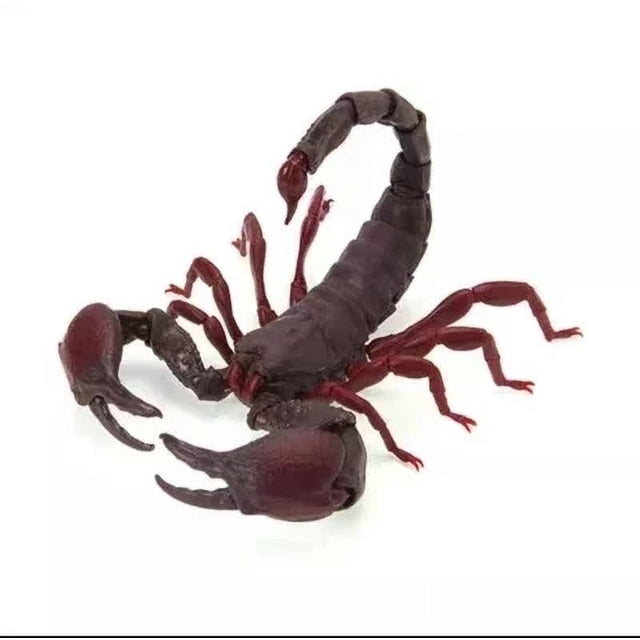 Insects Gashapon Big Picture Book Series Mantis Spider Scorpion Wasp Simulation Insect Action Figure Model Toys