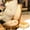 yellow Size B A8, variant on EDHITNR Thick Floor Chair Cushion, Soft Puffy Seat Cushion for Office Chair, Versatile Backrest and Floor Pouf for Bedroom Sofa Student