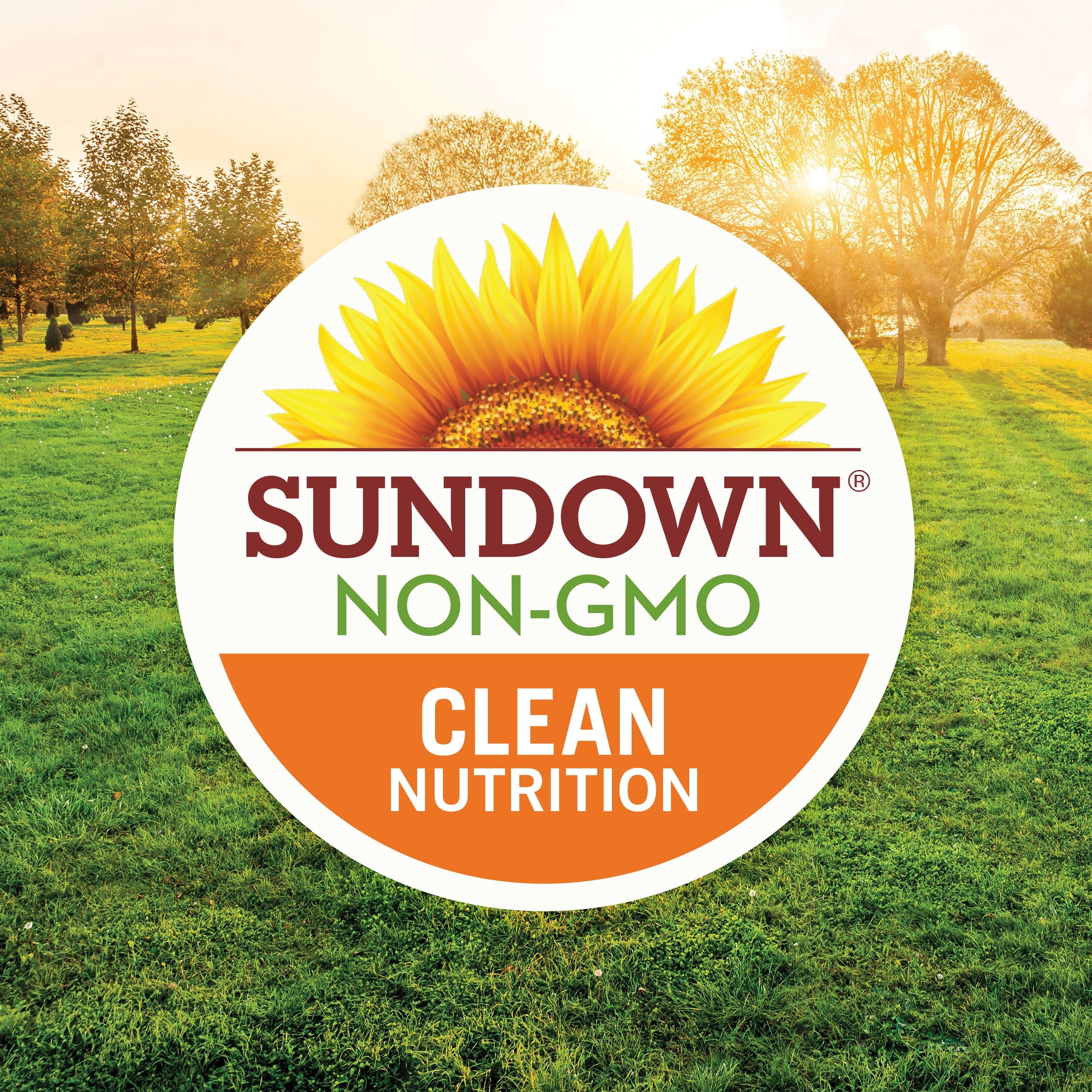 Sundown NaturalsÂ® Super Alpha Lipoic Acid 600 mg, 60 Capsules