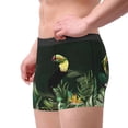 thumbnail image 3 of KLL Palm Leaves And Exotic Birds Men's Cotton Boxer Briefs Underwear-X-Large, 3 of 7