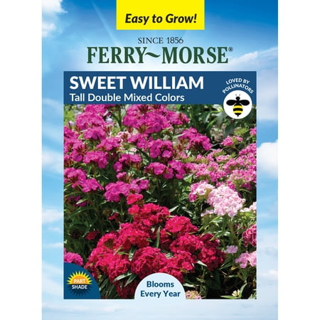 Ferry-Morse 275MG Sweet William Tall Double Mixed Colors Perennial Flower Seeds, Partial Shade