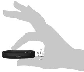 Fitbit Flex 2 Fitness Trackers Black