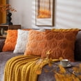 thumbnail image 7 of Pumpkin Fall Decorative Throw Pillow Covers 18"x20",Set of 1 Orange Green Soft Pillow Covers for Autumn Harvest, Fluffy Plush Accent Pillow Cases for Farmhouse Halloween Decor, 7 of 7