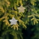 thumbnail image 3 of 60 estrellas brillantes para árbol de Navidad: adornos colgantes de estrella de cinco puntas con purpurina para árbol de Navidad - Adorno navideño dorado y plateado, 3 of 7