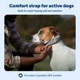 thumbnail image 3 of Replacement Strap for PetSafe Guardian GPS Dog Fence Collar, 3 of 7