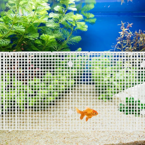 UPOUART 4pcs Fish Divider Transparent PC Designed For Indoor Aquarium Setup