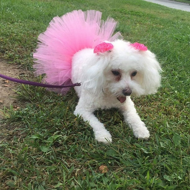Tutu Ropa Bonita Para Perritas Disfraz De Perro Y Gato Para