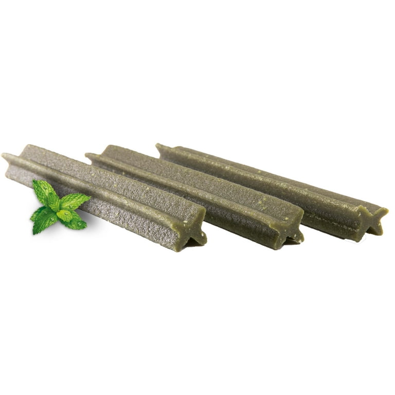Mint dentastix sales