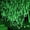 Green, variant on Solar Christmas Lights Outdoor, Waterproof LED Meteor Shower Lights Fairy String Lights 30cm 8 Tube 288 LED Icicle Falling Lights for Window Tree Xmas Wedding Party