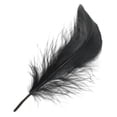 thumbnail image 4 of Plumas de bricolaje Macarena 200 piezas Negro, 4 of 8