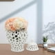 thumbnail image 2 of Toystoory 28cm White Ginger Jar Hand Painted Glazed for Arrangement Decor Decoración del hogar, 2 of 5