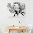 thumbnail image 2 of JRXY  2 Panel Black And White Canvas Wall Art White Flower Rose Nordic Canvas Prints Painting Wall Decor for Living Room Wooden Framed Home Decorations  pattern2, 2 of 6