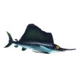 thumbnail image 1 of ZheElen Modèles de Jouets Éducatifs Marins pour Enfants et Requins Modèle de Jouet Réaliste Requin Voilier, 1 of 6