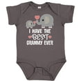 thumbnail image 3 of Inktastic Grandkids Best Grammy Ever Boys or Girls Baby Bodysuit, 3 of 5