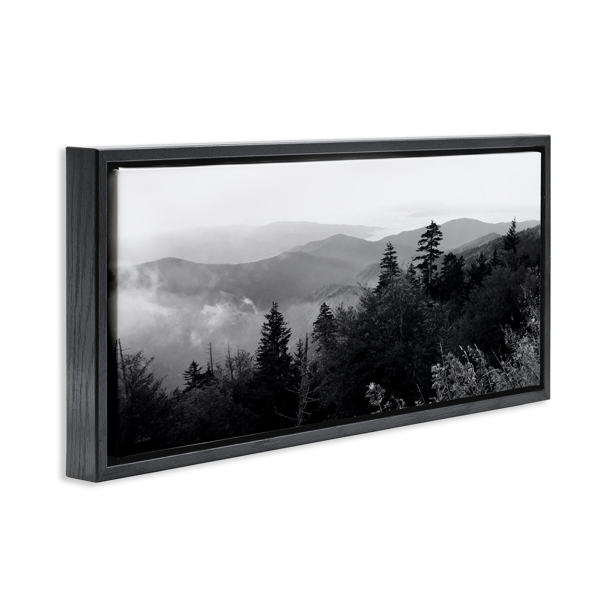 Stupell Industries Mountainous Trees Horizon Landscape & Nature Photography Black Floater Framed Canvas Art Print Wall Art, 25 x 11