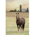 thumbnail image 2 of Deiter, Lori 11x14 Gold Ornate Wood Framed with Double Matting Museum Art Print Titled - Jackson Horse, 2 of 4