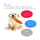thumbnail image 4 of Juguetes De Cuerda Para Perro Morder Paquete De 7 Piezas Malubero, Multicolor, 4 of 5