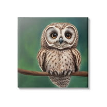 Gazing Spotted Owl Nature Animals & Insects Painting Gallery Wrapped Canvas Print Wall Art