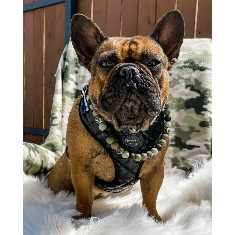 French Bulldog Leather Harness Black