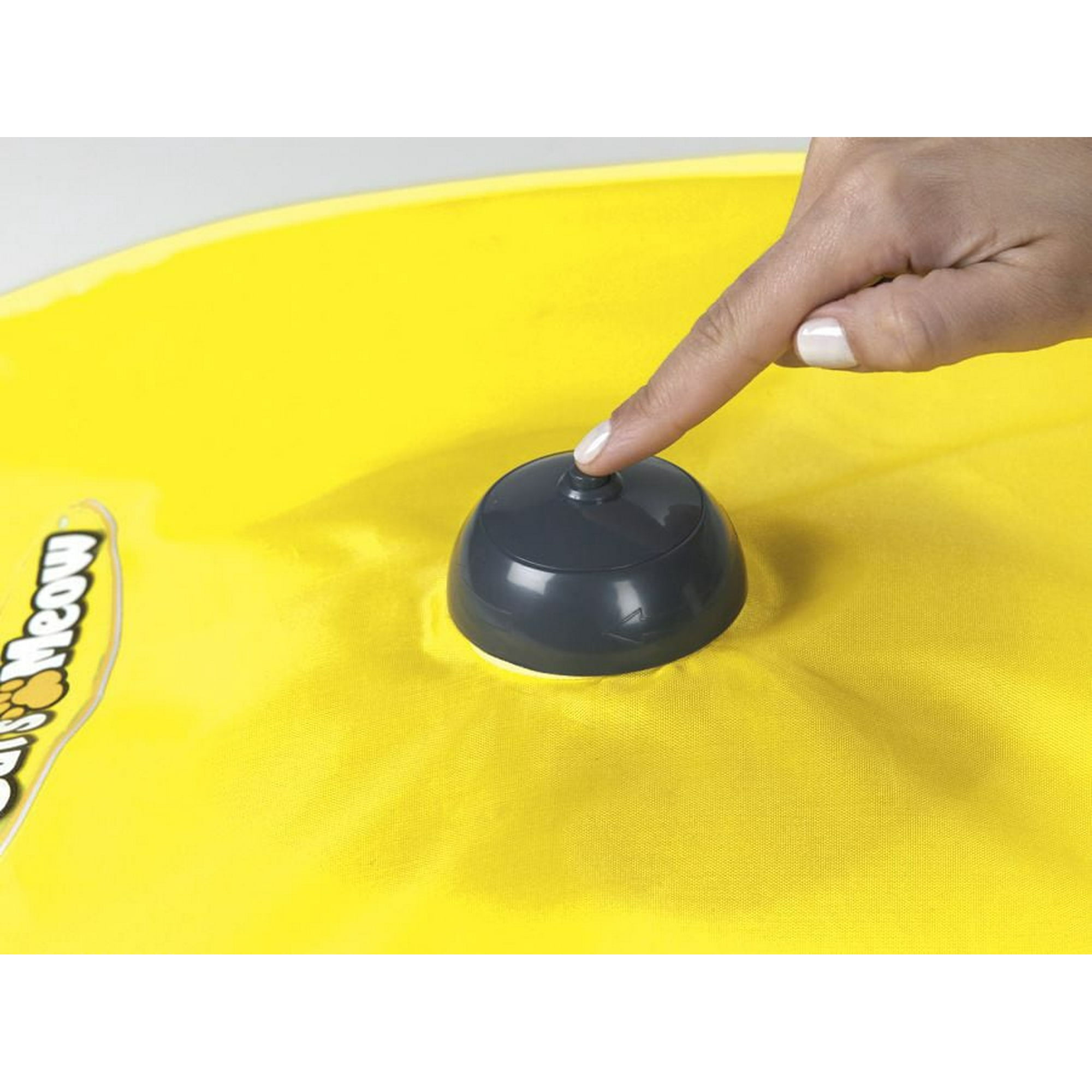 Who Makes the Cats Meow Toy: Discover the Top Brand Behind It!