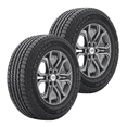 thumbnail image 1 of Paquete de 2 llantas 265/50R20 107T Goodyear  Fortera HL HT, 1 of 2