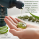 thumbnail image 3 of POCKETCARE - Shampoo para Hombres 100% Natural y Orgánico – Control Caída y Caspa – Aloe Vera, Romero, Ortiga y Jojoba – Fortalece, Aumenta Densidad y Brillo – Sin Sulfatos ni Parabenos – 500ml, 3 of 10