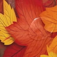 thumbnail image 4 of Coolnut Shower Curtain Autumn Maple Leaf Bathroom Decor Watercolor Shower Curtain Sets Fabric Cloth Bathroom Curtains with Hooks 60x72 Inch, 4 of 6