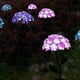 thumbnail image 4 of Flor Solar Simulación Flor Enchufe Flor Luz Estaca LED Flor Luz Para Jardín Césped Decoración De Patio, 4 of 8