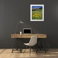 thumbnail image 3 of Terrill, Steve 15x18 White Modern Wood Framed Museum Art Print Titled - CO, Mill Creek Valley Sneezeweed blooming, 3 of 4